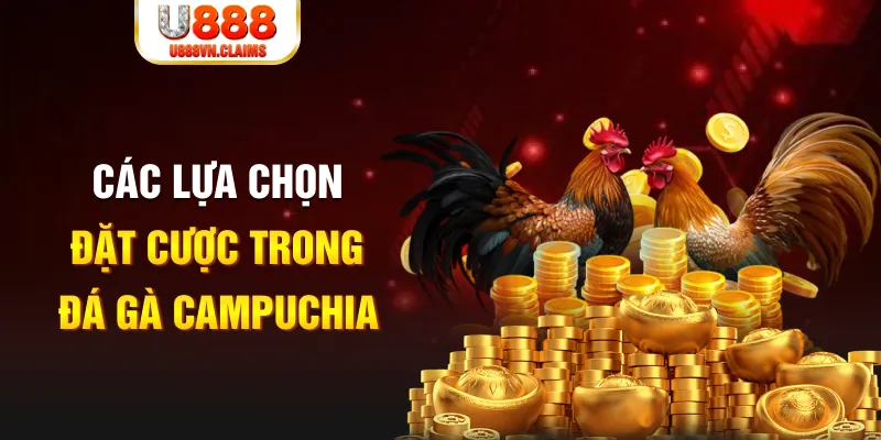 Các loại hình cá cược đá gà Campuchia Các loại hình cá cược đá gà Campuchia