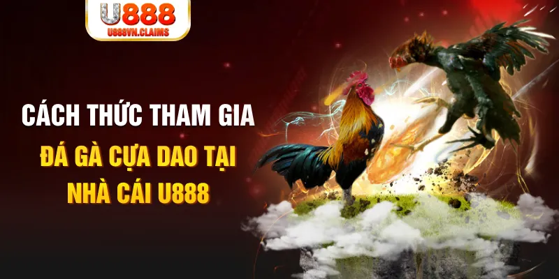 Cách thức tham gia đá gà cựa dao tại nhà cái U888 Cách thức tham gia đá gà cựa dao tại nhà cái U888