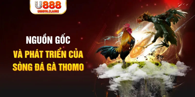 Nguồn gốc và phát triển của sòng đá gà Thomo Nguồn gốc và phát triển của sòng đá gà Thomo
