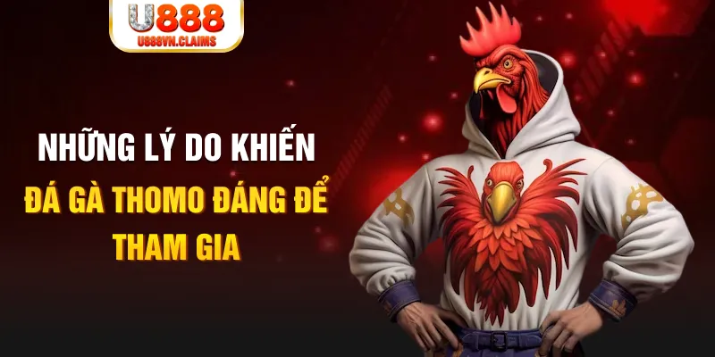 Những lý do khiến đá gà Thomo đáng để tham gia Những lý do khiến đá gà Thomo đáng để tham gia